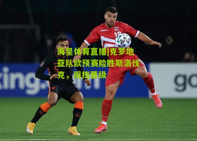克罗地亚队欧预赛险胜斯洛伐克，阻挡晋级